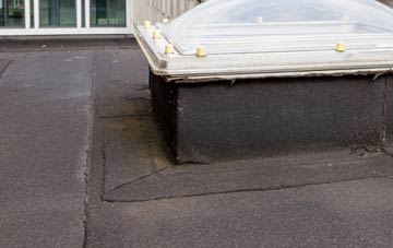 disadvantages of Monkspath flat roofs